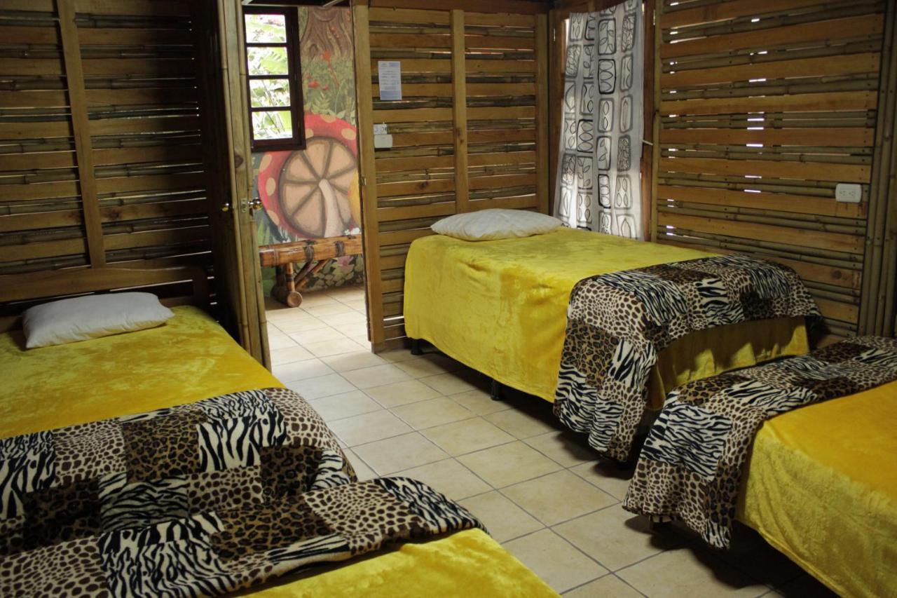 Hostal Casa Buho Antigua Εξωτερικό φωτογραφία